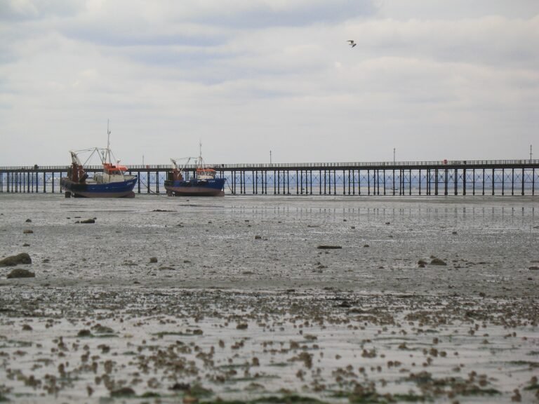 174695-beach-317182_1920
